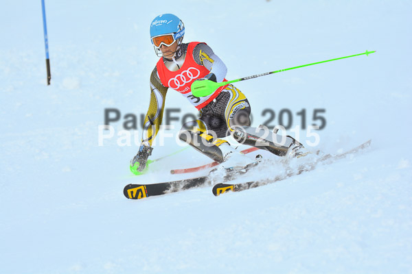 FIS Slalom Herren 2015