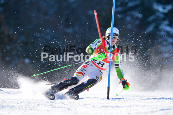 FIS Slalom Herren 2015