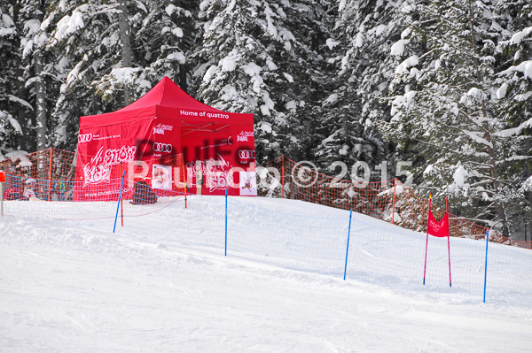 Skikreismeisterschaft STA 2015