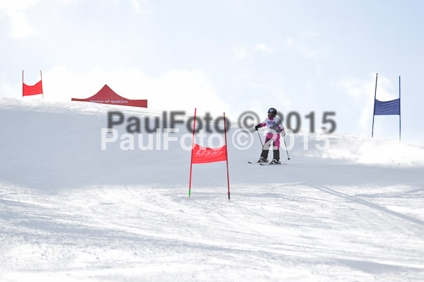 Skikreismeisterschaft STA 2015