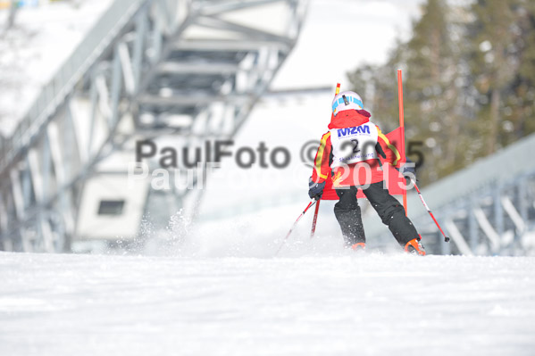 Skikreismeisterschaft STA 2015