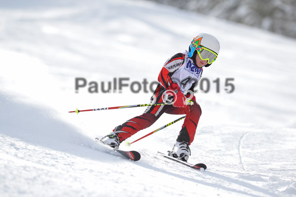 Skikreismeisterschaft STA 2015