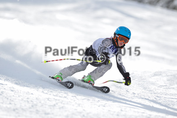 Skikreismeisterschaft STA 2015