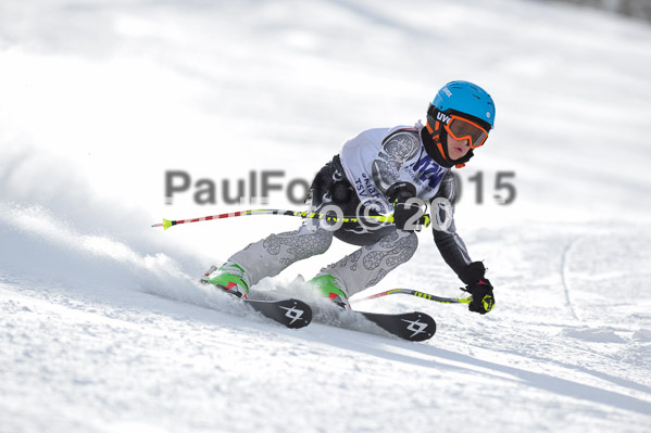 Skikreismeisterschaft STA 2015