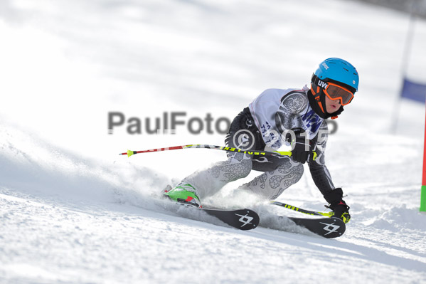 Skikreismeisterschaft STA 2015