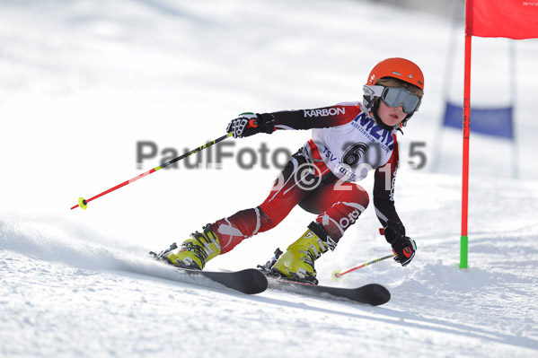Skikreismeisterschaft STA 2015