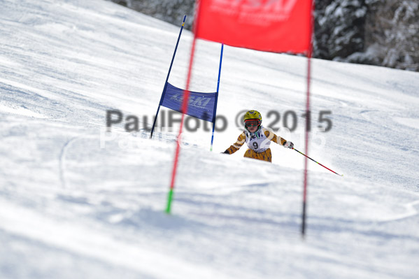 Skikreismeisterschaft STA 2015