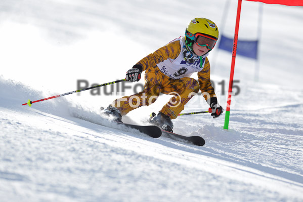 Skikreismeisterschaft STA 2015