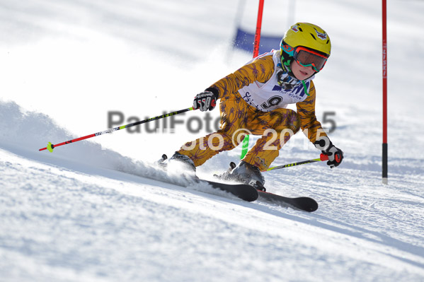 Skikreismeisterschaft STA 2015