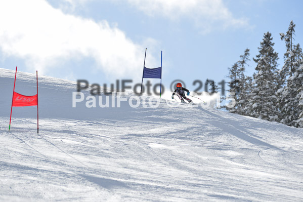 Skikreismeisterschaft STA 2015