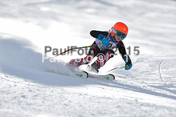 Skikreismeisterschaft STA 2015