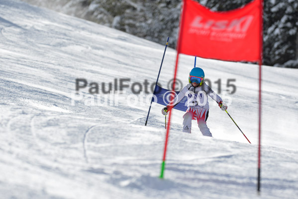 Skikreismeisterschaft STA 2015