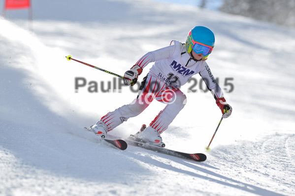 Skikreismeisterschaft STA 2015