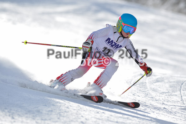 Skikreismeisterschaft STA 2015