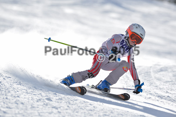 Skikreismeisterschaft STA 2015