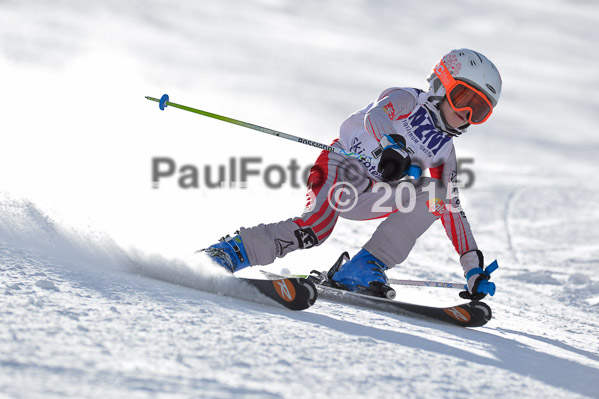 Skikreismeisterschaft STA 2015