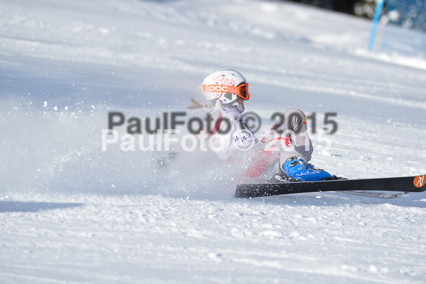 Skikreismeisterschaft STA 2015