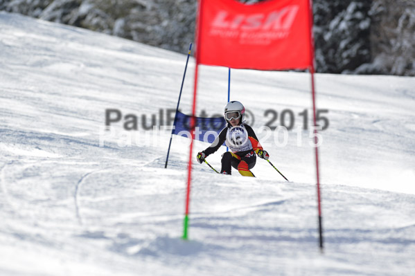 Skikreismeisterschaft STA 2015
