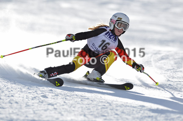 Skikreismeisterschaft STA 2015