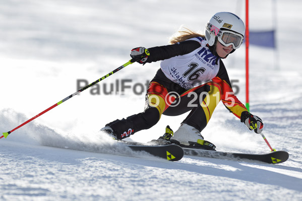 Skikreismeisterschaft STA 2015