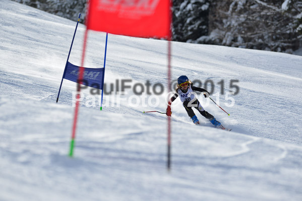 Skikreismeisterschaft STA 2015
