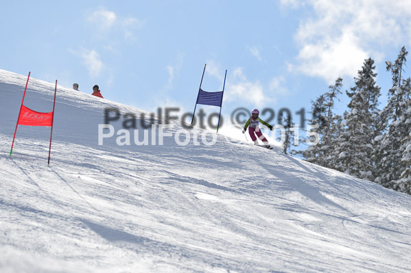 Skikreismeisterschaft STA 2015