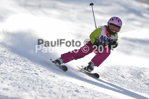 Skikreismeisterschaft STA 2015