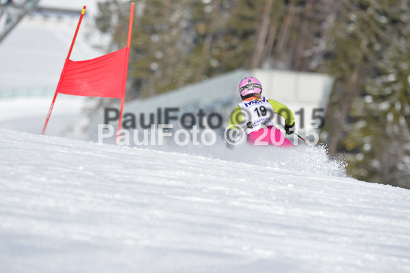 Skikreismeisterschaft STA 2015