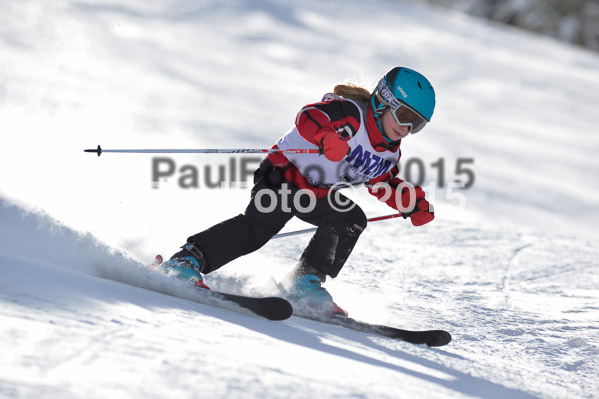 Skikreismeisterschaft STA 2015