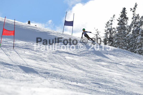 Skikreismeisterschaft STA 2015