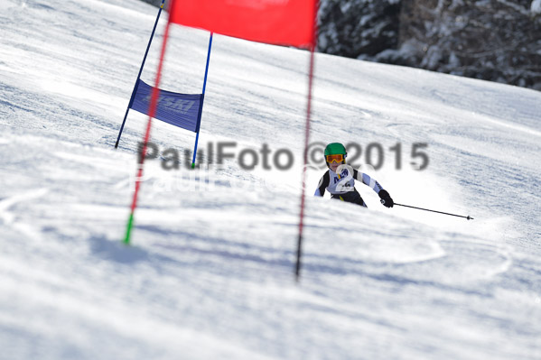 Skikreismeisterschaft STA 2015