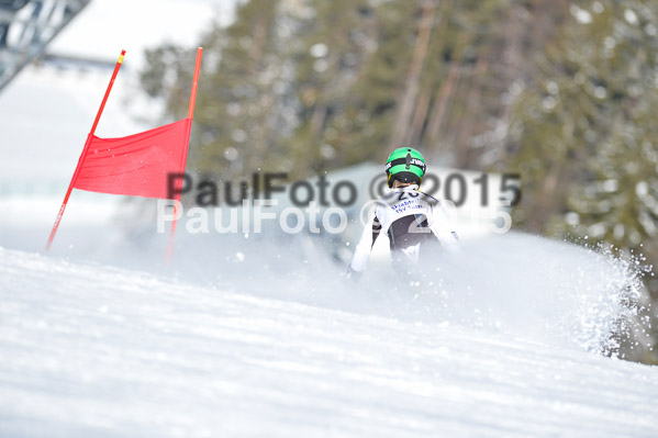 Skikreismeisterschaft STA 2015