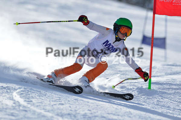 Skikreismeisterschaft STA 2015