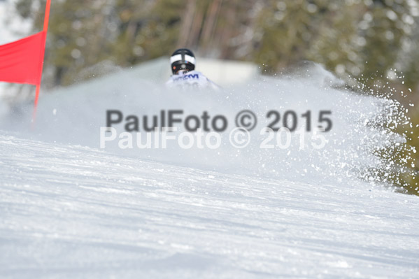 Skikreismeisterschaft STA 2015