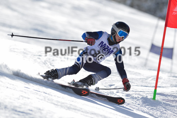 Skikreismeisterschaft STA 2015