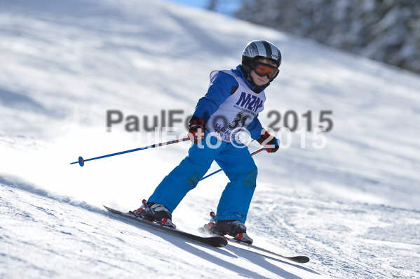 Skikreismeisterschaft STA 2015