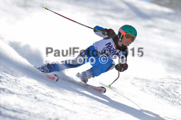 Skikreismeisterschaft STA 2015