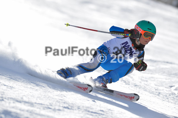 Skikreismeisterschaft STA 2015