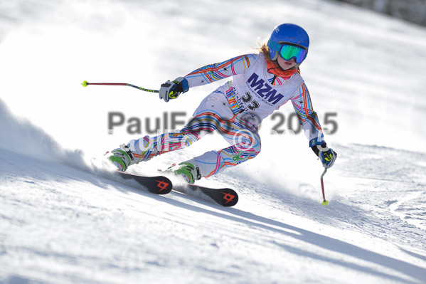 Skikreismeisterschaft STA 2015
