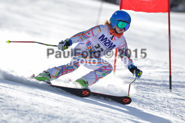 Skikreismeisterschaft STA 2015