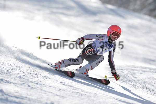Skikreismeisterschaft STA 2015