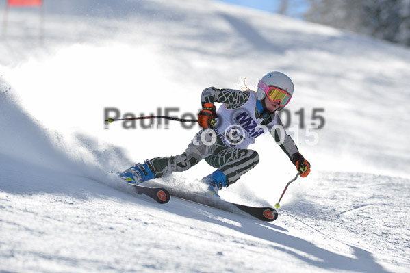 Skikreismeisterschaft STA 2015