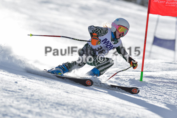 Skikreismeisterschaft STA 2015