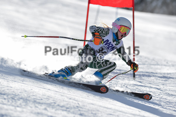 Skikreismeisterschaft STA 2015
