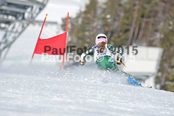Skikreismeisterschaft STA 2015