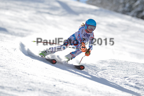 Skikreismeisterschaft STA 2015