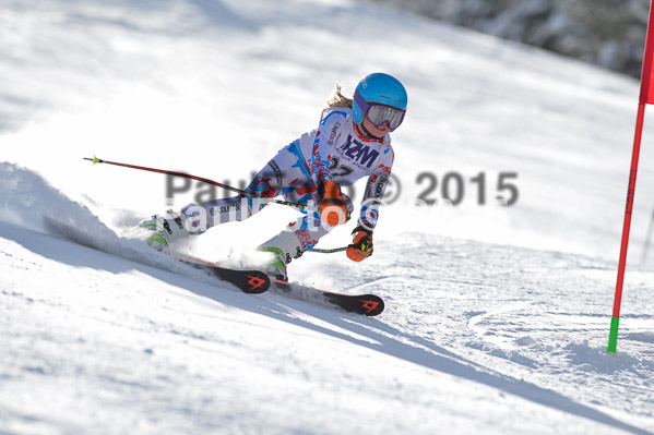 Skikreismeisterschaft STA 2015