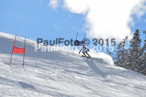 Skikreismeisterschaft STA 2015