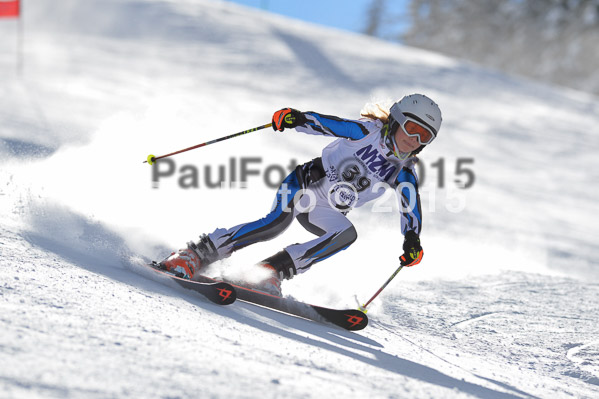 Skikreismeisterschaft STA 2015