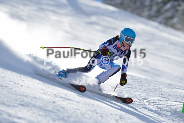 Skikreismeisterschaft STA 2015